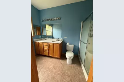 17213 Mendota Drive, Lockport, IL 60441 - Photo 14