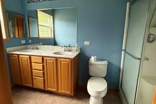 17213 Mendota Dr, Lockport, IL 60441 - Photo 14