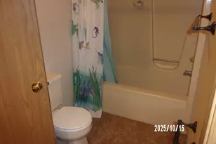 707 E Ash St, Watseka, IL 60970 - Photo 22