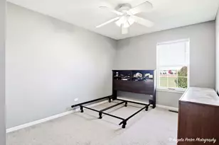 2441 Haydn St, Woodstock, IL 60098 - Photo 42