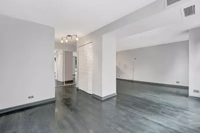 230 E Ontario Street #1204, Chicago, IL 60611 - Photo 8