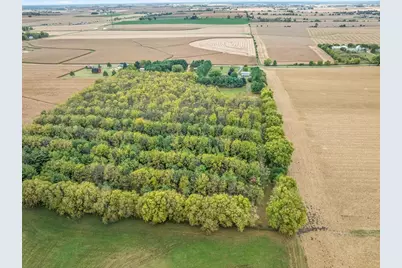 9104 E Weber Road, Ridott, IL 61067 - Photo 96