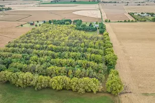 9104 E Weber Rd, Ridott, IL 61067 - Photo 96