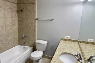 474 N Lake Shore Dr, Chicago, IL 60611 - Photo 24