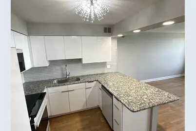 474 N Lake Shore Drive #6102, Chicago, IL 60611 - Photo 6