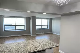 474 N Lake Shore Dr, Chicago, IL 60611 - Photo 12