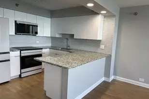 474 N Lake Shore Dr, Chicago, IL 60611 - Photo 8