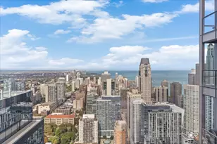 14 W Superior St, Chicago, IL 60654 - Photo 24