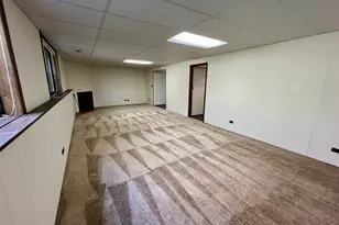 315 Bluff Ct, Lake Barrington, IL 60010 - Photo 24