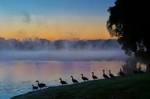 315 Bluff Ct, Lake Barrington, IL 60010 - Photo 40