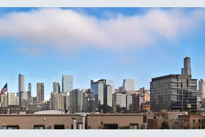 525 N Ada Street #43, Chicago, IL 60642 - Photo 18