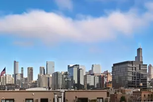 525 N Ada St, Chicago, IL 60642 - Photo 18