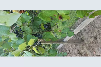 3019 N Ringwood Road, McHenry, IL 60050 - Photo 34