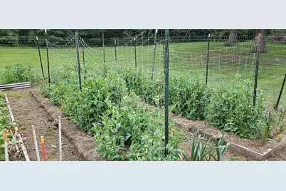 3019 N Ringwood Road, McHenry, IL 60050 - Photo 32