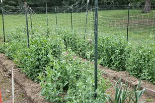 3019 N Ringwood Rd, McHenry, IL 60050 - Photo 32