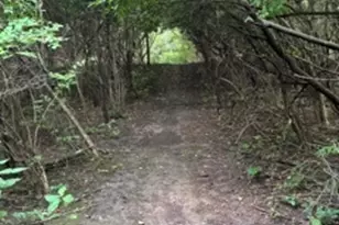 22416 S Kings Ct, Shorewood, IL 60404 - Photo 36