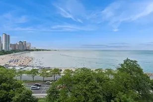 219 E Lake Shore Dr, Chicago, IL 60611 - Photo 32