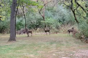 13 Birch Dr, Putnam, IL 61560 - Photo 40