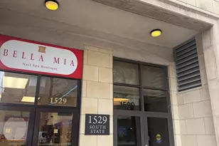 1529 S State St, Chicago, IL 60605 - Photo 30