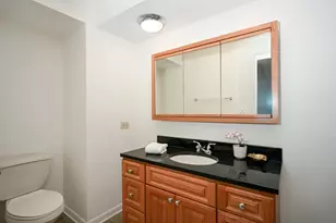 441 N Park Blvd, Glen Ellyn, IL 60137 - Photo 14