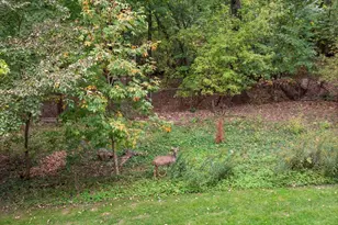 5340 N Lowell Ave, Chicago, IL 60630 - Photo 20