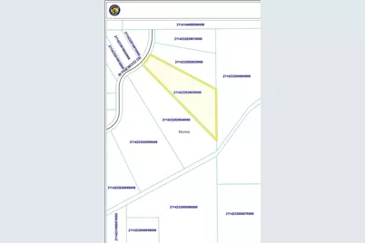 3513 W Pinewood Drive, Monee, IL 60449 - Photo 1