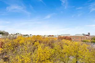 1524 S Sangamon St, Chicago, IL 60608 - Photo 32