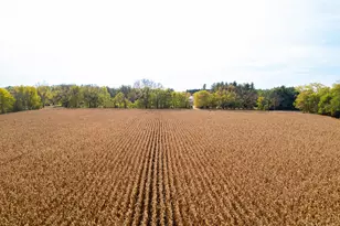 7093 Forest Preserve Rd, Rockton, IL 61072 - Photo 66