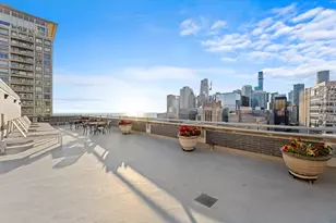 222 E Pearson St, Chicago, IL 60611 - Photo 22