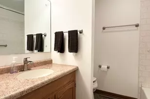 1588 Bittersweet Dr, Saint Anne, IL 60964 - Photo 20