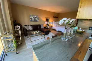 1555 N Dearborn Pkwy, Chicago, IL 60610 - Photo 10