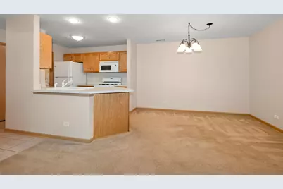 20301 S Pine Hill Road #1D, Frankfort, IL 60423 - Photo 8