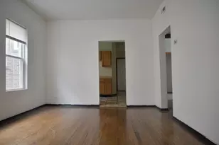 739 N Hamlin Ave, Chicago, IL 60624 - Photo 6