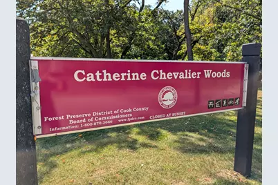 8735 W Catherine Avenue #8, Chicago, IL 60656 - Photo 74