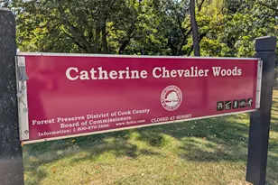 8735 W Catherine Ave, Chicago, IL 60656 - Photo 74