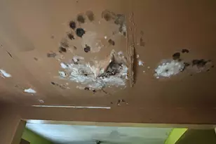 7450 S Colfax Ave, Chicago, IL 60649 - Photo 10