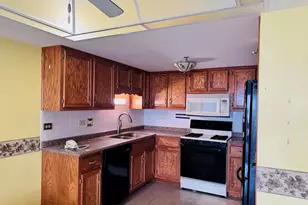 9004 Del Prado Dr, Palos Hills, IL 60465 - Photo 10