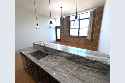 1432 W 21st Street #321, Chicago, IL 60608 - Photo 12