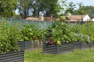 125 Acacia Cir, Indian Head Park, IL 60525 - Photo 32