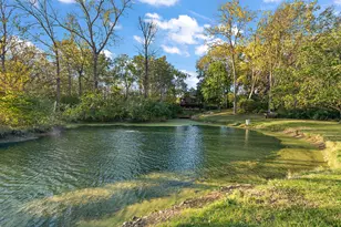 1110 Lakeside Dr, New Lenox, IL 60451 - Photo 58