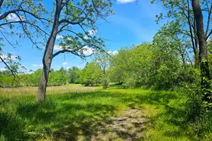 24128 S Harlem Ave, Frankfort, IL 60423 - Photo 36