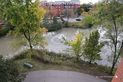 820 Weidner Road #401, Buffalo Grove, IL 60089 - Photo 20