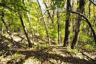 710 Short St, Streator, IL 61364 - Photo 48