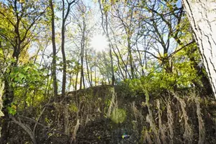 710 Short St, Streator, IL 61364 - Photo 50