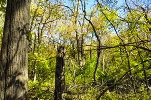 710 Short St, Streator, IL 61364 - Photo 54