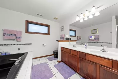 21218 Shannon Avenue, Matteson, IL 60443 - Photo 16