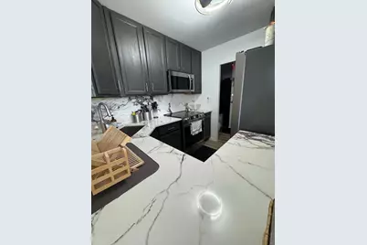 1460 N Sandburg Terrace #501, Chicago, IL 60610 - Photo 16