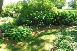 3007 Monterey Dr, Flossmoor, IL 60422 - Photo 22