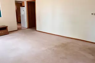 10 E Piper City St, Piper City, IL 60959 - Photo 6