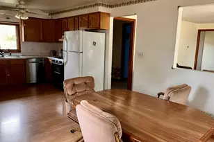 10 E Piper City St, Piper City, IL 60959 - Photo 20